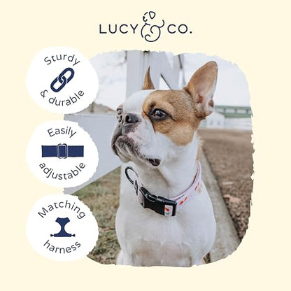 Lucy & Co. Cheery Cherries Dog Collar - Durable Lightweight Designer Collar for Pets - Adjustable Metal Safety Buckel - Red Gingham Cherries - Small - color: Cheery Cherries Dog Collar, size: Small