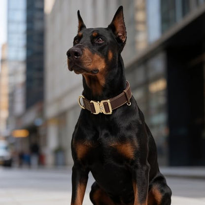 AssuredLock Leather Dog Collar, 1.5” Wide, Smooth Quick-Release Buckle with Adjustable Design, Heavy-Duty Handcrafted Collars for Large Dogs, Brown Gold-L - color: Brown-Gold, size: 17-28.5 In