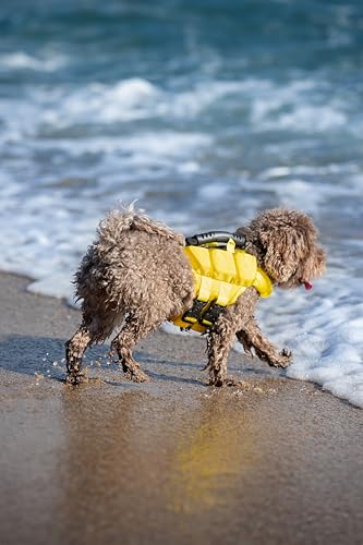 NOAH & PAW Dog Life Jacket, Human Standards Lifejacket Design, Dog Life Vest for Swimming and Boating, 3X Foam Support for Max Floating, Breathable Mesh, Salvavidas para Perros, Size S - size: S