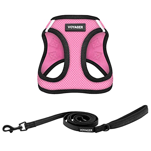 Best Pet Supplies Voyager Step-in Air All Weather Mesh Harness and Reflective Dog 5ft Leash Combo with Neoprene Handle, for Small, Medium and Large Breed Puppies - Set (Pink/Black Trim), XX-Small - color: Harness Leash Bundle (Pink/Black Trim), size: XXS