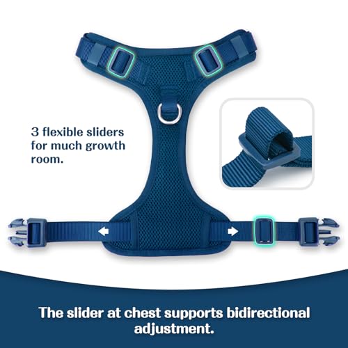 No Pull Dog Harness for Small Medium Large Dogs - Adjustable 2 Layer Mesh Dog Vest with Dual Clip, Escape Proof, Quick Release, Lightweight Breathable Mesh for Walking Hiking (Prussian Blue,S)