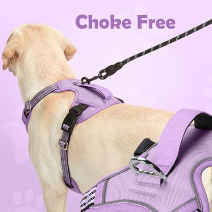Funfox Dog Harness No Pull, Adjustable Pet Vest Harness, Super Soft Material with Vertical Handle Easy Control, Reflective Night Walking, 2 Leash Clips for Small Sized Dogs, Purple, S - color: Purple, size: Small