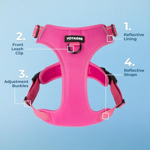 Voyager Dog Harness Dual Leash Attachment No-Pull Control Adjustable Soft but Strong Pet Harness for Medium and Large Dogs with 3M Reflective Technology, Fuchsia Nylon, XL (Chest: 28-37") - color: Fuchsia Nylon, size: XL (Chest: 28 - 37")