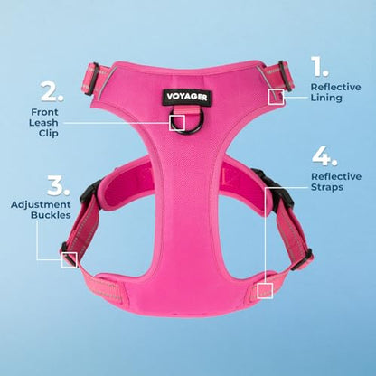 Voyager Dog Harness Dual Leash Attachment No-Pull Control Adjustable Soft but Strong Pet Harness for Medium and Large Dogs with 3M Reflective Technology, Fuchsia Nylon, XL (Chest: 28-37") - color: Fuchsia Nylon, size: XL (Chest: 28 - 37")