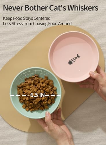 Extra Wide Elevated Ceramic Cat Bowls, 6.5 Inch Raised Pet Bowl Set for Food & Water, Whisker Fatigue Shallow Food Dish for Elder Big Cats Small Dogs, Set of 2, Green & Pink - color: Green & Pink
