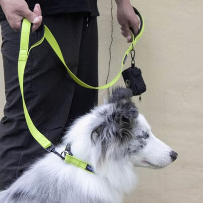 Wagtime Club Double Handle Dog Leash, 6ft Long Heavy Duty Dog Leash with Paded Traffic Handles for Extral Control and Training, Dual Handles Leads, Large Medium Small Dogs (Neon Green) - color: Neon Green