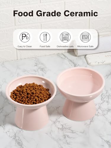 LoeJan Elevated Cat Food and Water Bowls Set, Pink - Raised Ceramic Anti-Vomit Whisker-Free Feeder for Kittens to Adult Cats - color: Pink, size: Single (Water Bowl)