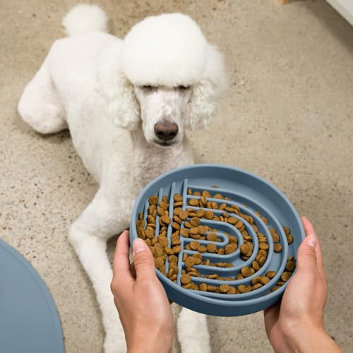 Should We Go? Slow Feeder for Dogs & Puppies, The Slowdown Bowl Silicone Slow Eating, Modern Lick Mat Design, Reduces Gulping, Fits 2.5 Cups, 9.5” Across x 1.5” Tall, Mealtime Challenge, Large-Ocean - color: Ocean - Rainbow Design, size: Large (9.5” Acros