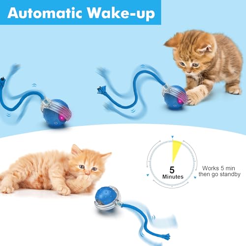 Interactive Cat Ball Toy for Indoor Cats – Fast Rolling on Carpets, Motion Activated with Chirping Sounds, Enrichment Play for Active & Bored Cats