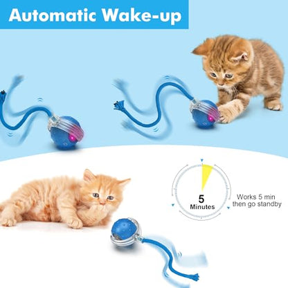 Interactive Cat Ball Toy for Indoor Cats – Fast Rolling on Carpets, Motion Activated with Chirping Sounds, Enrichment Play for Active & Bored Cats