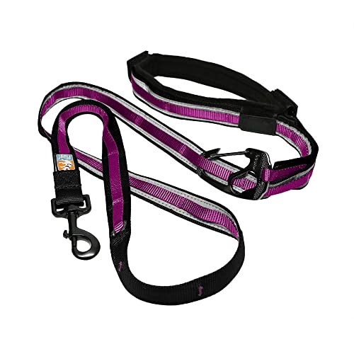Kurgo Quantum Leash 2.0 - Versatile for Running or Walking - 6 in 1 Dog Leash - Hands-Free Dog Leash - Adjustable - Strong & Durable - Raspberry - color: Raspberry
