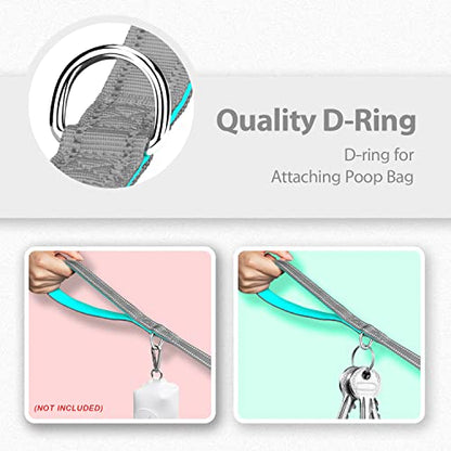 PHOEPET 5 Feet Dog Leash - Dual-Side Reflective - Soft Padded Handle - Fit for Walking, Training or Exploring Hiking, Camping (Grey + Mint Green Base) - color: Grey + Mint Green Base