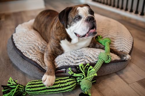 Jolly Pets Knot-N-Chew 3 Knot Green/Black Small/Medium, JTJP013 - color: 3 Knot, size: Small/Medium