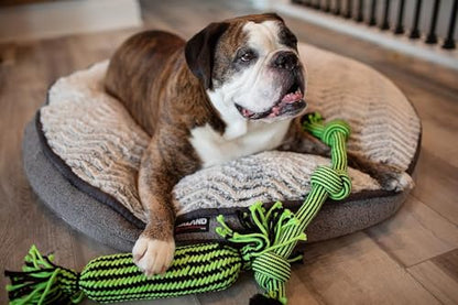 Jolly Pets Knot-N-Chew 3 Knot Green/Black Small/Medium, JTJP013 - color: 3 Knot, size: Small/Medium