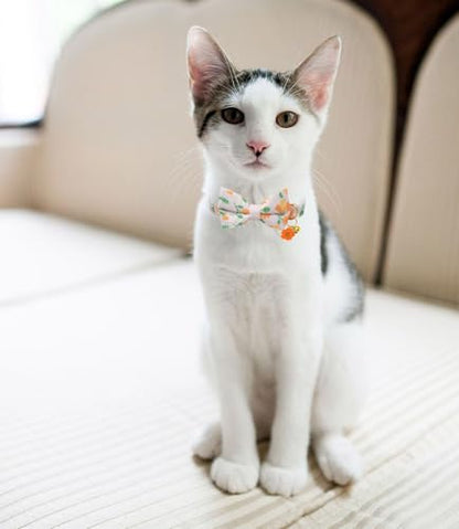 Breakaway Cat Collar with Bow Tie,2 Pack Adjustable Kitten Collars with Removeable Bowtie and Bells for Girl Boy Cats. (Green and Orange) - color: green and orange