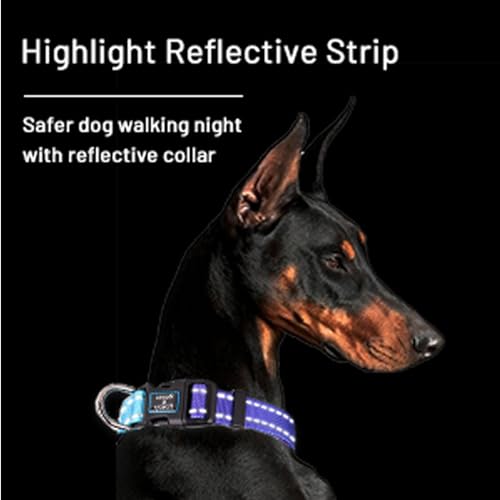 Roses&Poetry Reflective Dog Collar with Gradient Violet, Adjustable Durable Pet Collars for Small Medium Large Dogs (Violet-S) - color: Golden,Violet,Purple, size: S