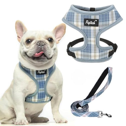 PUPTECK Soft Mesh Dog Harness and Leash Set Pet Puppy Cat Comfort Padded Vest No Pull Harnesses, Sky Blue, S - color: Sky Blue, size: S (NECK: 12", CHEST: 14"-18")