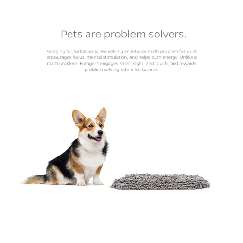 Pet Parents Forager Slow Feeder CAT and Dog Snuffle MAT and Feeding MAT, Forest Grey, Large