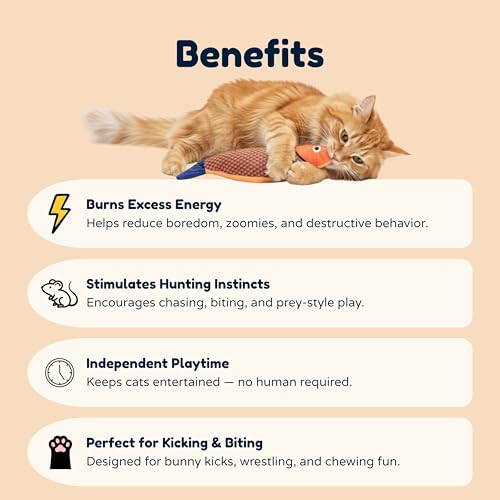 Cat Kicker Fish Toy 3-Pack with Premium Catnip – Plush Interactive Kick Toy for Cats, Durable Kitty Kicker Pillow, Enrichment Toy for Indoor Cats