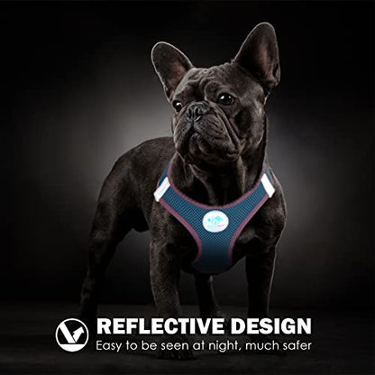 PHOEPET Step-in Dog Harness,Reflective Adjustable Dog Vest Harness, Soft Pet Walking Jacket with 2 Metal Leash Hooks for Dog and Cat(Baby Blue Base & Pink Straps,XS) - color: Baby Blue Base & Pink Straps, size: XS (Neck: 9-10”,Chest: 11.5-13”)