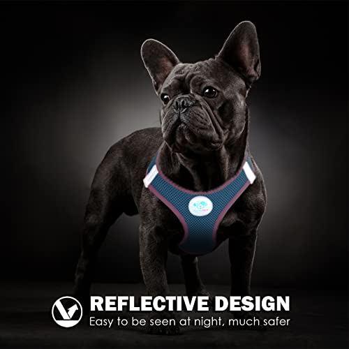 PHOEPET Step-in Dog Harness,Reflective Adjustable Dog Vest Harness, Soft Pet Walking Jacket with 2 Metal Leash Hooks for Dog and Cat(Baby Blue Base & Pink Straps,XL) - color: Baby Blue Base & Pink Straps, size: XL (Neck: 13.5-15.5”,Chest: 18-20.5”)