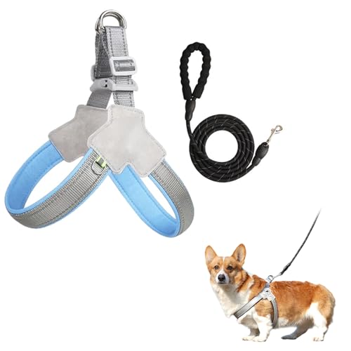 Adjustable Vest Harness with Leash - Breathable Mesh, Soft Padded Vest for Small Dogs & Cats （Small + 5 Ft Black Reflective Leash） - color: Blue Grey, size: Small