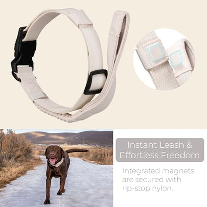 TUG Grab Collar | Integrated Traffic Leash Magnetically Attached for Quick Control (XL/Cream) - color: Cream, size: XL
