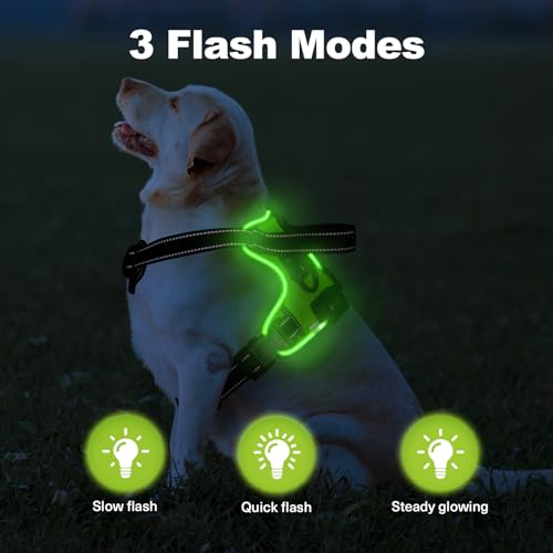 Light Up Dog Harness - LED No Pull Rechargeable Illuminated and Reflective Vest for Night Walking, Adjustable Dog Harness - color: Green, size: M