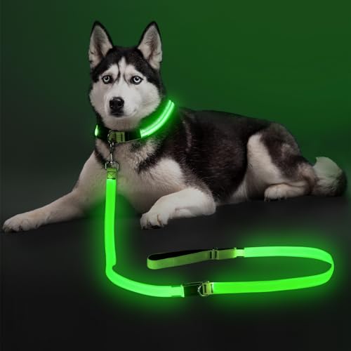 Colaseeme Light Up Dog Leash, LED Pet Leashes USB Rechargeable, Glow Safety Dogs Lights at Night (6FT,Green) - color: Green, size: 6FT
