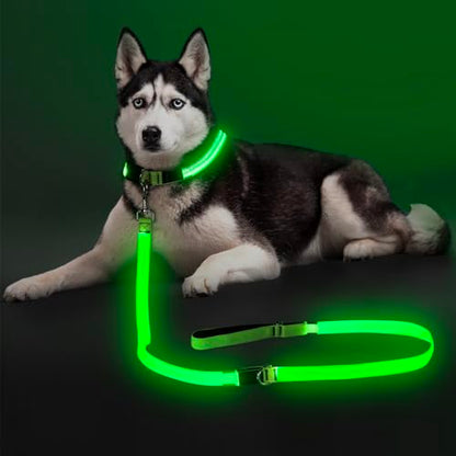 Colaseeme Light Up Dog Leash, LED Pet Leashes USB Rechargeable, Glow Safety Dogs Lights at Night (6FT,Green) - color: Green, size: 6FT