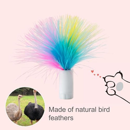 ORSDA 6Pcs Interchangeable Attachments Cat Feather Toys Replaceable Feathers and Fluffy Toy Accessories - color: Various Refills Feathers*6