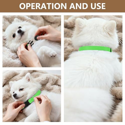 Puppy Collar 2 Pack Small Cat Collar Adjustable 10.6 to 17.1 Inches - color: Cobalt Green