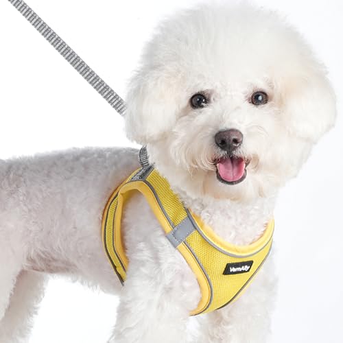 Sparkly Dog Harness Small Sized and Leash Set for Small Dogs Cats,Yellow XXS Puppy Harness, Step in Soft Dog Reflective Vest, Breathable Mesh Pet Harness. (Yellow, XXS) - color: Yellow, size: XXS