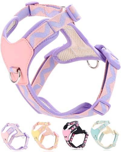 Petank Purple xs Dog Harness for Small Dogs, No Pull Dog Harness with 2 Leash Clips, Puppy Harness, Adjustable Dog Vest Harness (Purple, XS) - color: Purple, size: XS