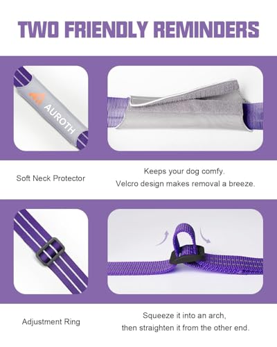 AUROTH Dog Harness and Leash Set, Soft Padded Service Dog Vest with 5.25FT Dog Leash, No Choke, Easy On Pet Vest, Adjustable Reflective No Pull Dog Harness Small Sized Dog, Easy Walking and Training - color: Purple, size: Small