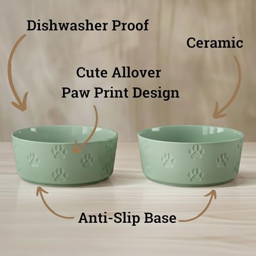 Ceramic Dog Bowl Set of 2 with Anti-Skid Base - 6.5" Wide x 2.5" Tall Ceramic Dog Bowls Medium Sized Dogs - 3.8 Cup Capacity Food and Water Bowls for Dogs - Rubber Bottom Pet Bowl Set of 2 Medium Size - color: Sage Green, size: Medium