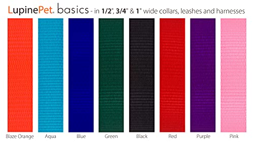 LupinePet Basics 1/2" Aqua 30-Foot Extra-Long Training Leash for Small Dogs - size: 1/2" wide; 30-foot