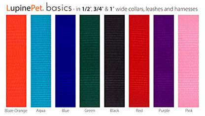 LupinePet Basics 1/2" Aqua 15-Foot Extra-Long Training Leash for Small Dogs - size: 1/2" wide; 15-foot
