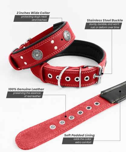 Leather Dog Collar, 2 inches Wide Heavy Duty Genuine Leather Collars, Handmade, Soft, and Luxury, Eye-catching Best Choice for Large and Medium Breed Dogs, Red 15-19 in - color: Red, size: 15-19 in
