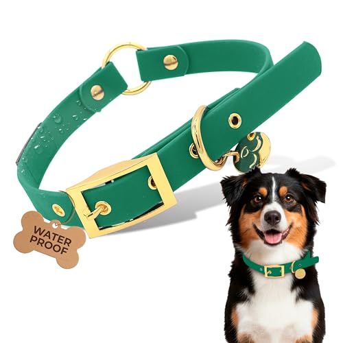 Waterproof Dog Collar for Active Dogs – Durable, Odor-Resistant, Easy to Clean Adjustable Collar for Small Medium Large Breeds – Comfortable Everyday Collar by Mila’s Paws (Wild Forest Green, M) - color: Wild Forest Green, size: M