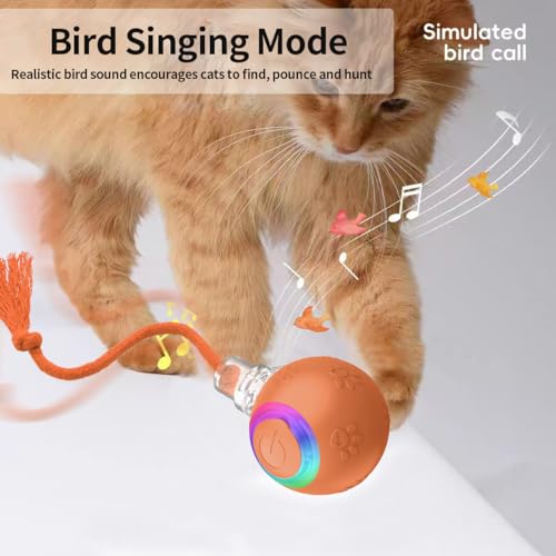 Interactive Cat Toys, Automatic Moving Cat Toys for Bored Indoor Adult Cats, Fast Rolling, Chirping & Motion-Activated Kitty Toys, Fun Gift for Cats with Speedy Tail 2.0, USB Rechargeable (Orange)