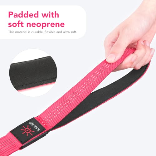 Colaseeme Light Up Dog Leash, LED Pet Leashes USB Rechargeable, Glow Safety Dogs Lights at Night (4FT,Pink) - color: Pink, size: 4FT