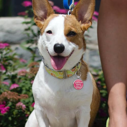 QR Code Pet ID | Personalized Dog & Cat Collar Tag | Online Profile with Instant Scanned Location Alert Email - style: Have your people-Pink