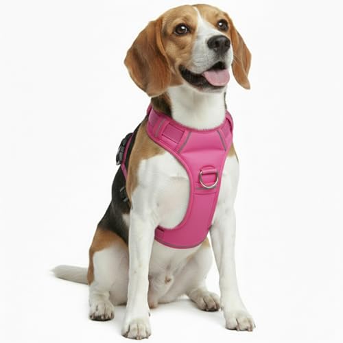 No Pull Dog Harness with 2 Leash Clips, Adjustable Soft Padded Reflective Oxford Pet Vest with Easy Control Handle for Large Dogs (Fuchsia, Medium) - color: Fuchsia, size: Medium