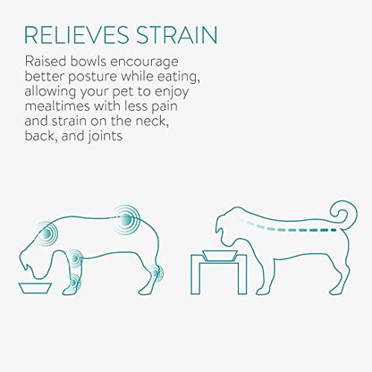 Navaris Tilted Pet Bowls with Stand (Set of 2) - Elevated Ceramic Cat Food Bowl Set for Cats and Small Dogs with Metal Wire Stands - Black and Gold