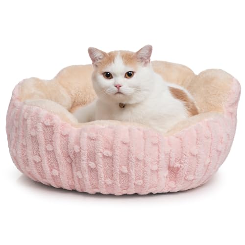 Hollypet Calming Cat Beds for Indoor Cats - Cute Fluffy Cactus Pet Small Dog Puppy Bed with Non-Slip Bottom, Pink - color: Pink