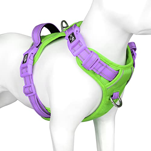 PHOEPET No Pull Dog Harness, Unique Colors Reflective Adjustable Dog Vest, with Soft Training Handle Metal Clips for Small Medium Large Dogs (Green Base & Purple Straps,S) - color: Green Base & Purple Straps, size: Small