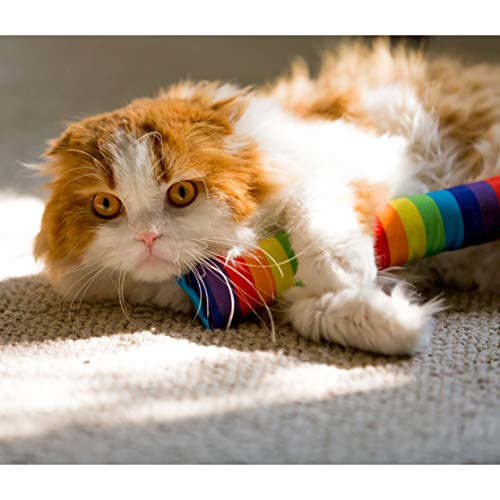 Youngever 4 Pack Cat Kicker Toys for Kitty, Puppy & Kitten - Interactive Cat Toys with Cotton Fabric