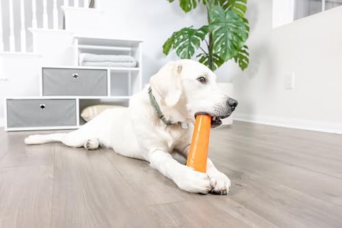 Chuckit! Super Crunch Fetch Stick Dog Toy - Durable TPR Material, Enticing Crunch Sounds, Compatible with Medium and Large Dogs, Mentally and Physically Engaging - 9.2 inches, for Breeds 20-100 lbs - style: Super Crunch Stick