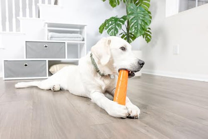 Chuckit! Super Crunch Fetch Stick Dog Toy - Durable TPR Material, Enticing Crunch Sounds, Compatible with Medium and Large Dogs, Mentally and Physically Engaging - 9.2 inches, for Breeds 20-100 lbs - style: Super Crunch Stick